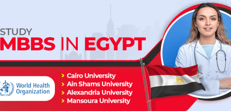 study mbbs in egypt